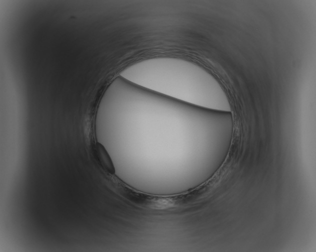 X0000101220409200806270929