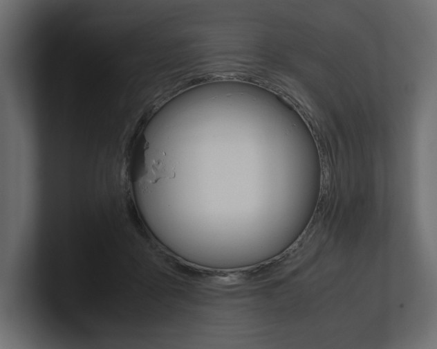 X0000101220411200806270929