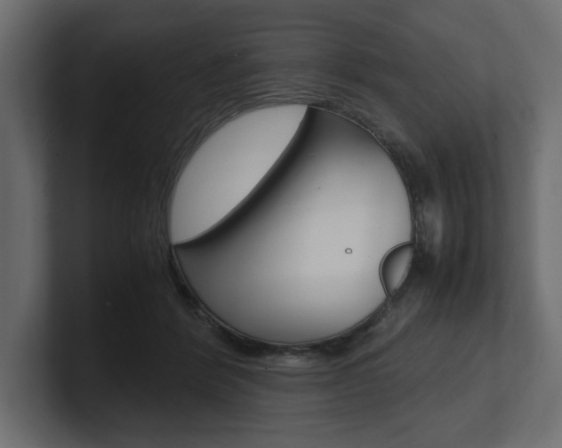 X0000101220412200806270929
