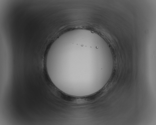 X0000101220413200806270929