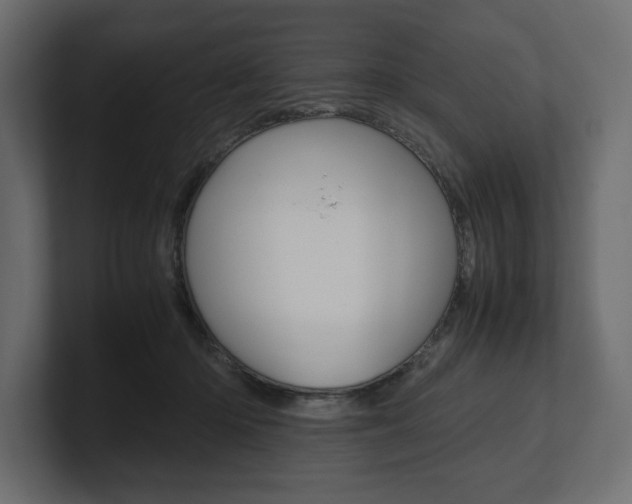 X0000101220414200806270929
