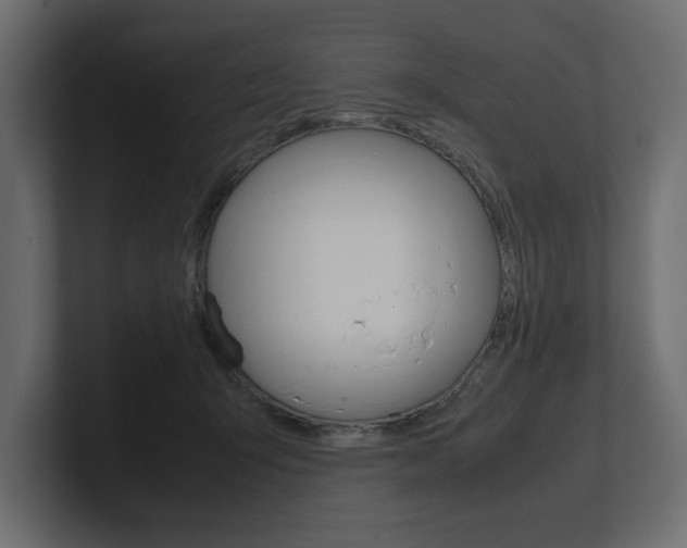 X0000101220415200806270929