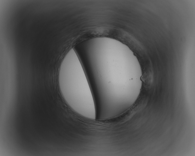 X0000101220416200806270929