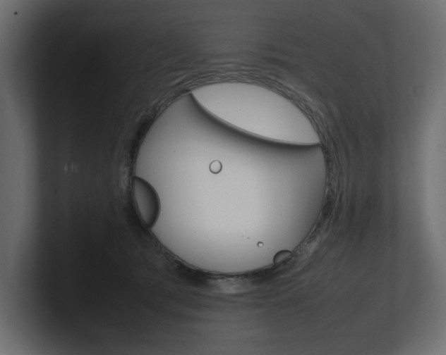 X0000101220417200806270929