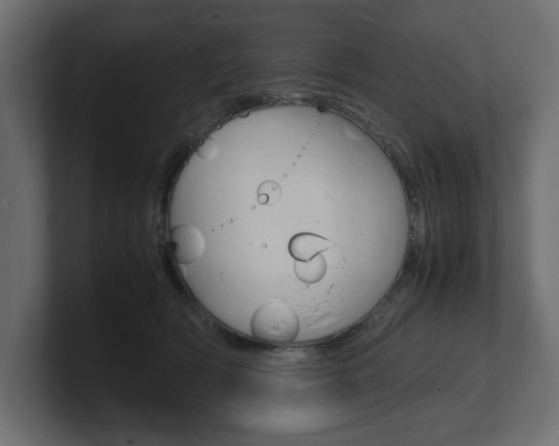 X0000101220418200806270929