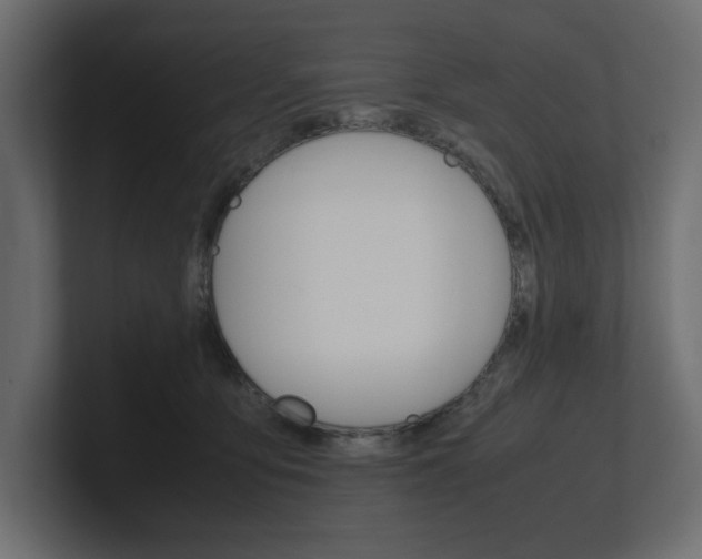 X0000101220419200806270929