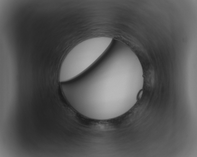 X0000101220420200806270929