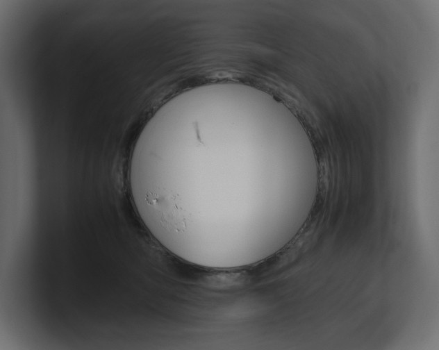X0000101220422200806270929