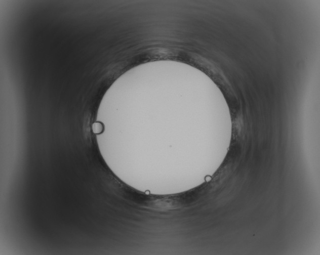X0000101220423200806270929