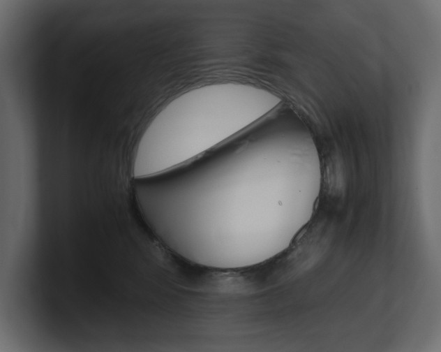 X0000101220424200806270929