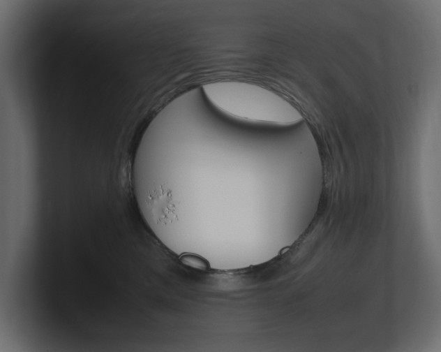 X0000101220425200806270929