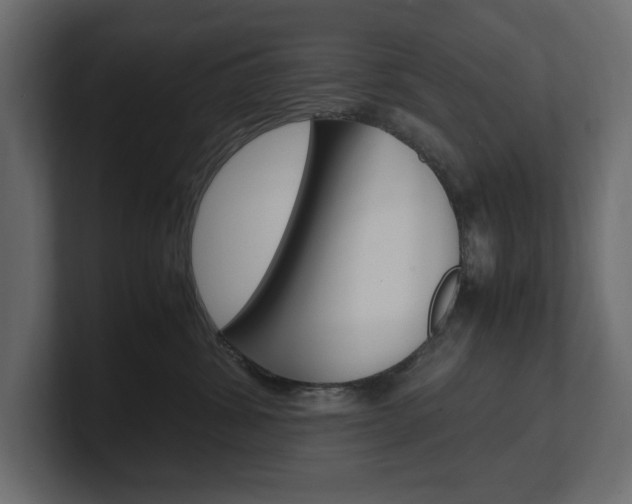 X0000101220428200806270928