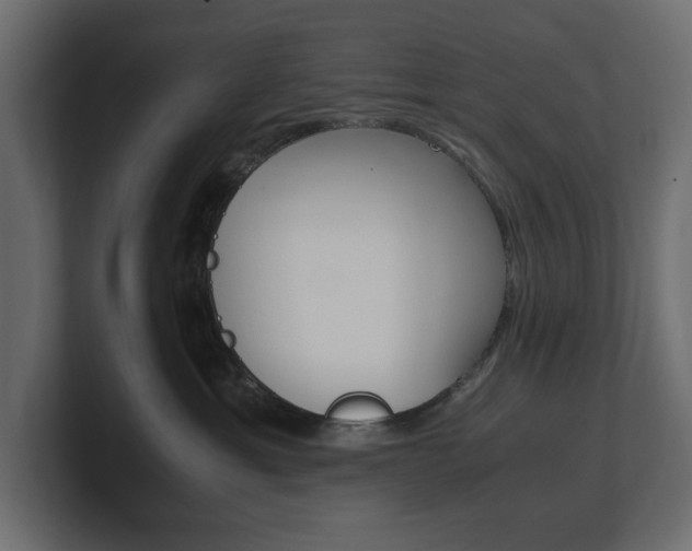 X0000101220429200806270928