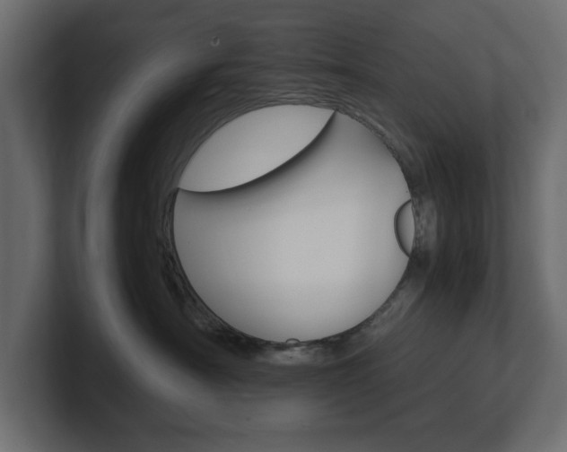 X0000101220430200806270928