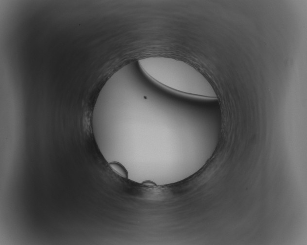 X0000101220432200806270928