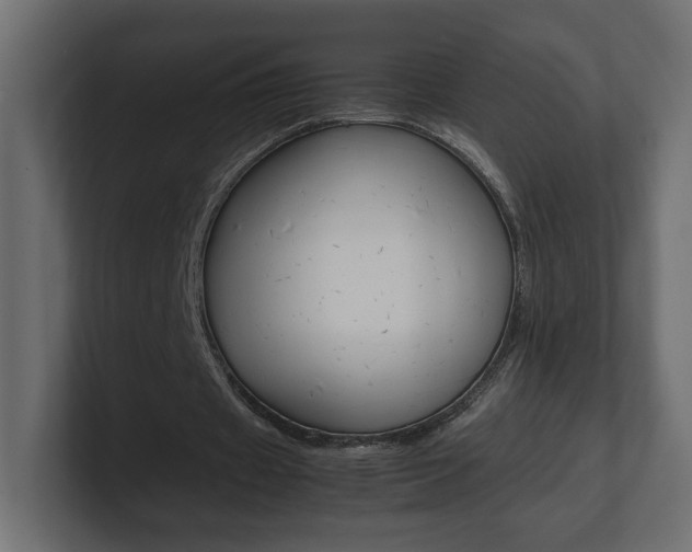 X0000101220433200806270928