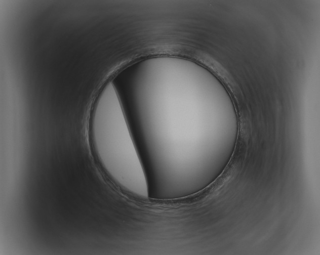 X0000101220434200806270928