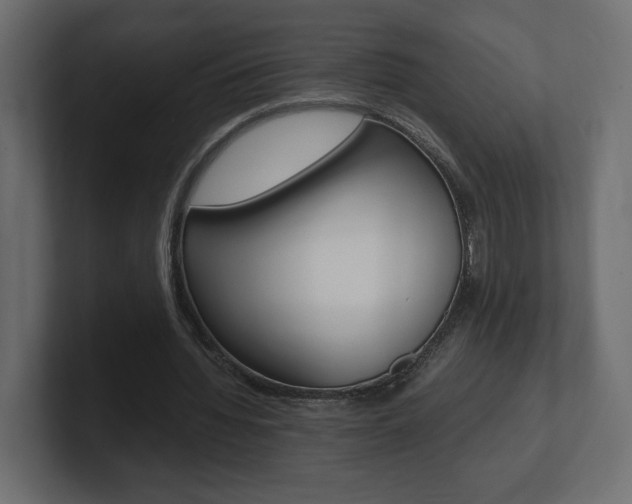 X0000101220436200806270928