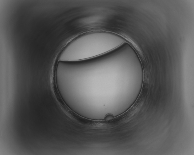 X0000101220437200806270928