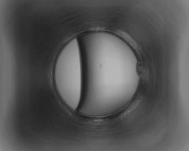 X0000101220441200806270928