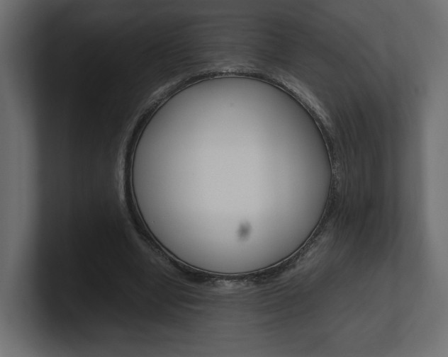 X0000101220442200806270928