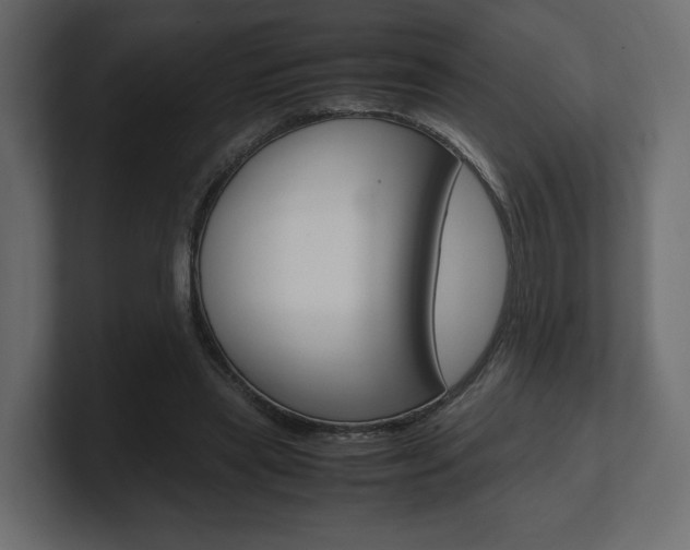 X0000101220445200806270928