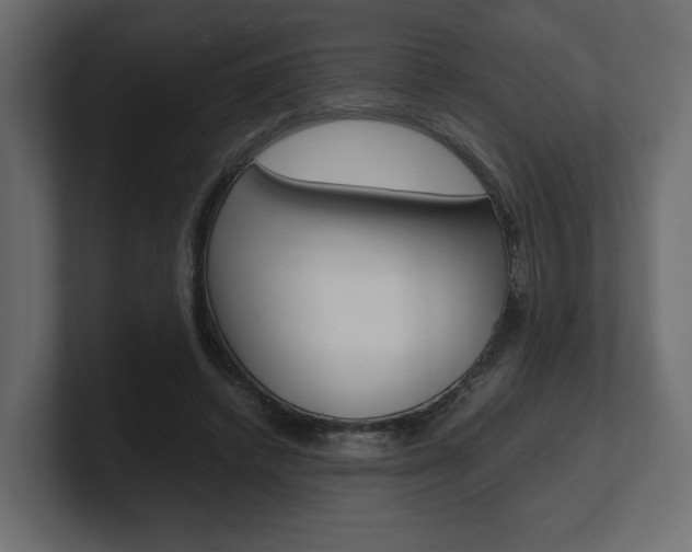 X0000101220448200806270928