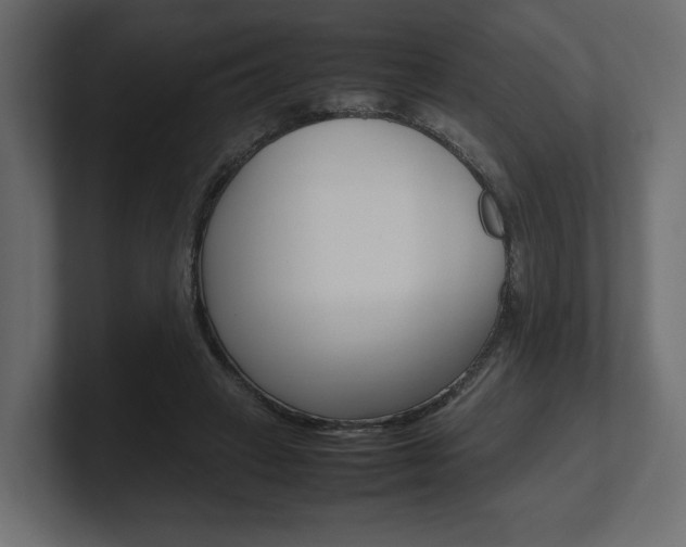 X0000101220449200806270928