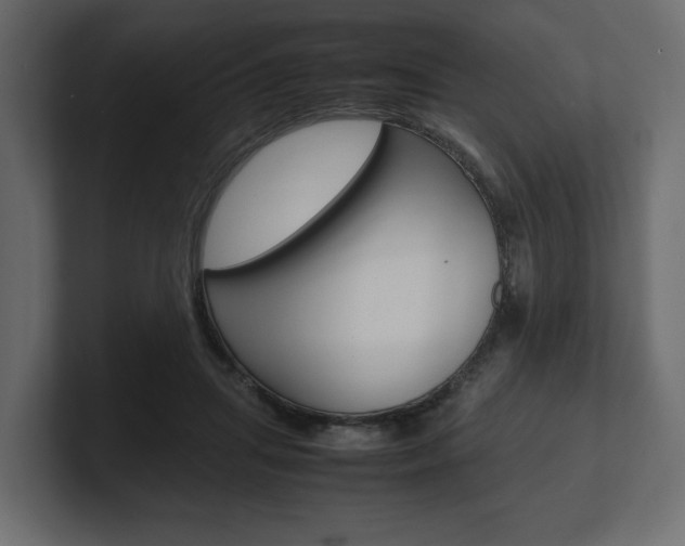 X0000101220455200806270928