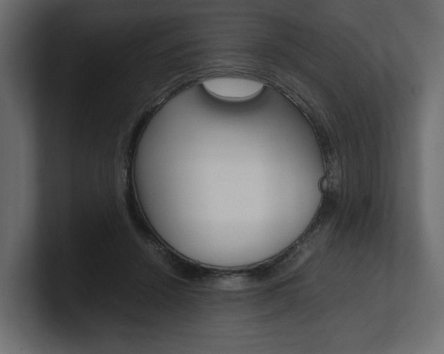 X0000101220456200806270928