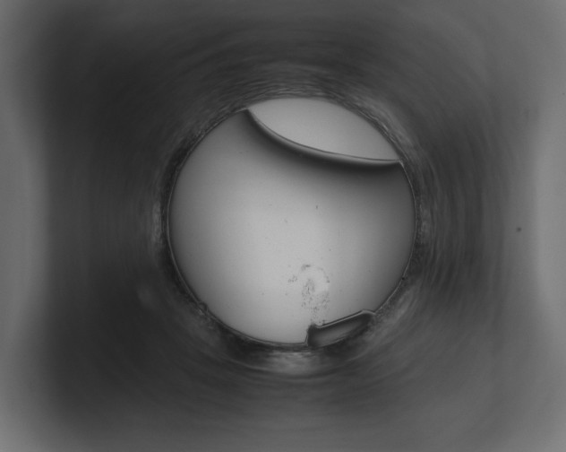 X0000101220457200806270928