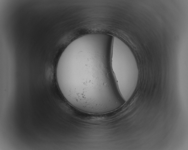 X0000101220458200806270928