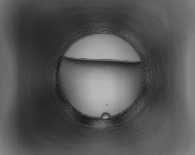 X0000101220461200806270928