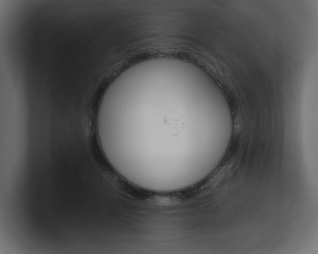 X0000101220464200806270928