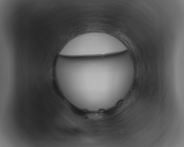 X0000101220465200806270928