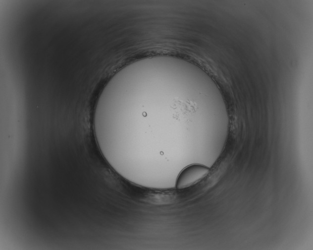 X0000101220466200806270928