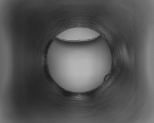 X0000101220467200806270928