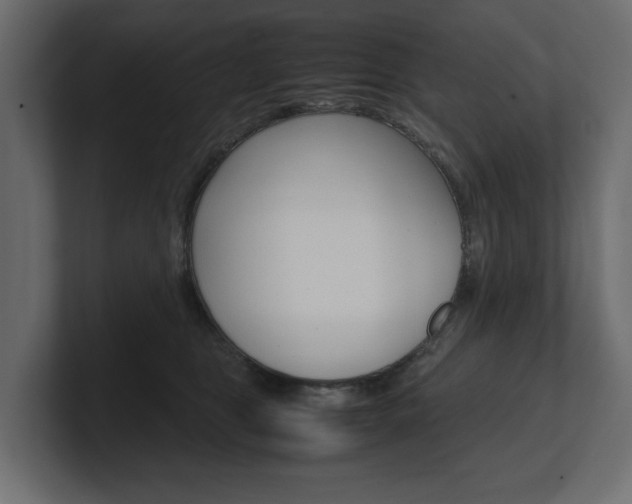 X0000101220469200806270928
