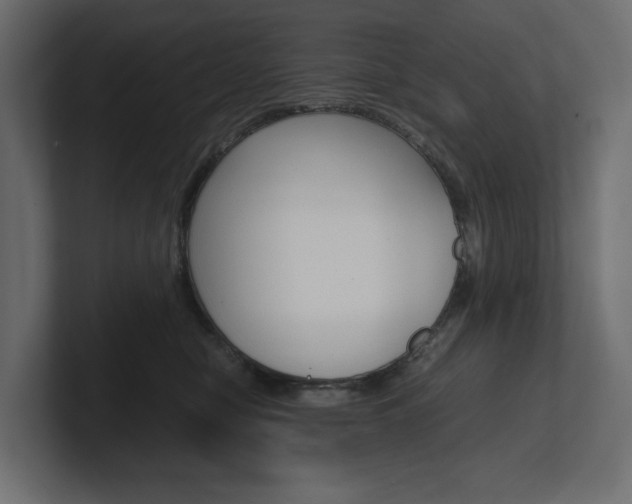X0000101220470200806270928
