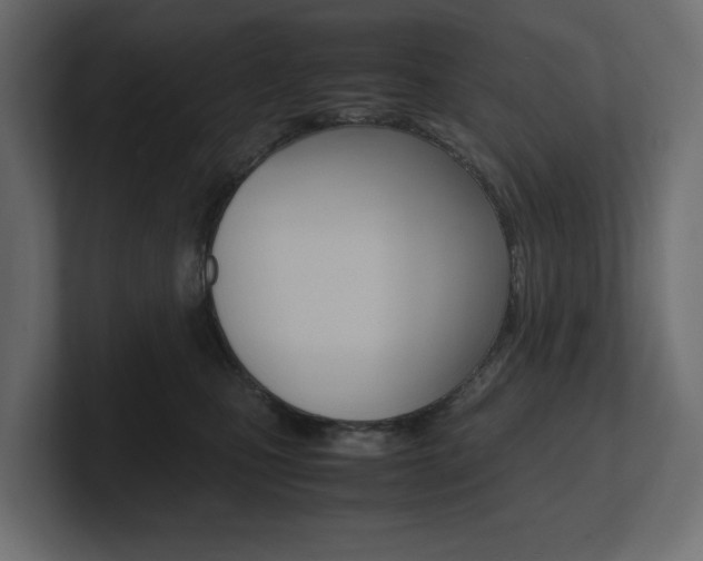 X0000101220471200806270928