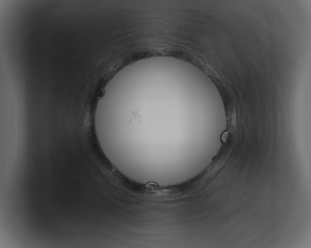 X0000101220472200806270928