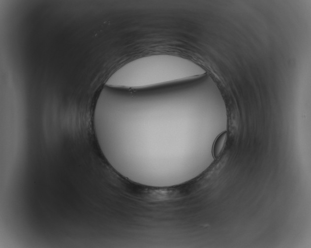 X0000101220473200806270928