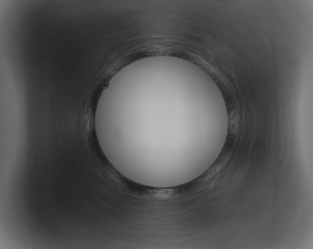 X0000101220474200806270928