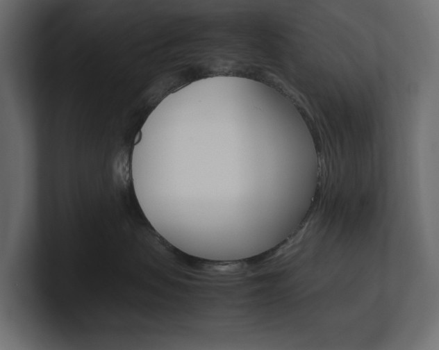 X0000101220479200806270928