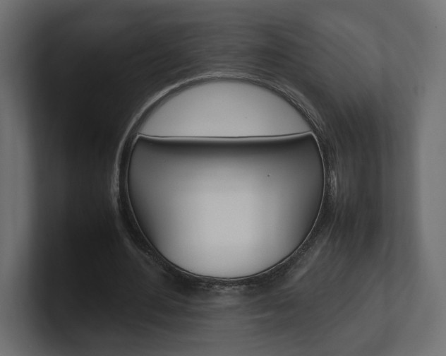 X0000101220484200806270928