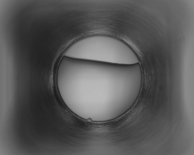 X0000101220486200806270928