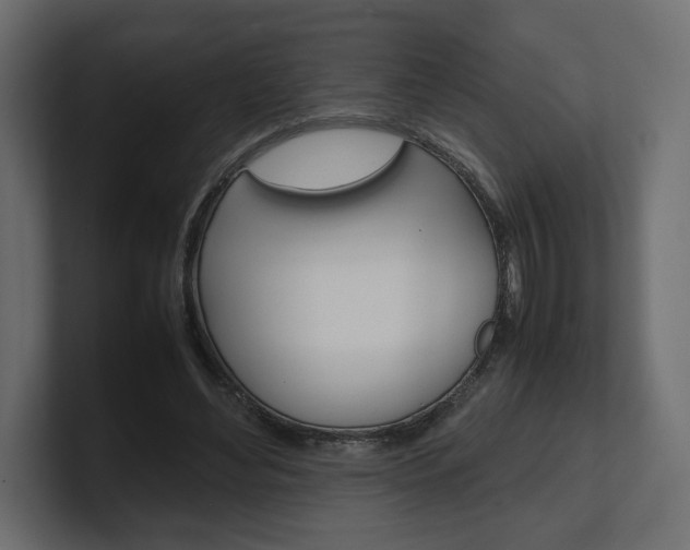 X0000101220492200806270928