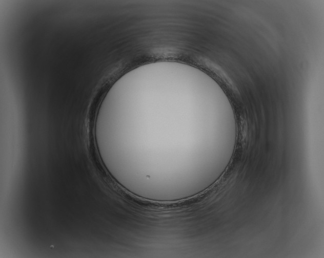 X0000101220494200806270928