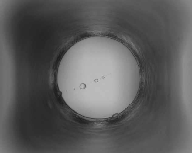 X0000101220495200806270928