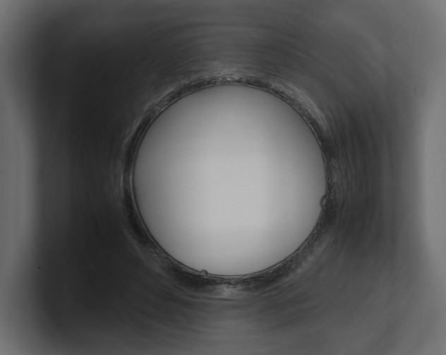 X0000101220496200806270928